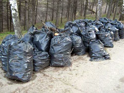 Самарскую набережную очистили от мусора
