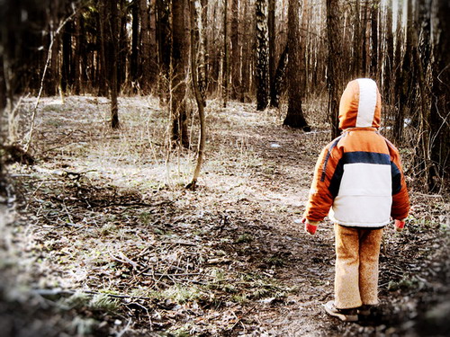  В Семеновском районе ищут потерявшуюся в лесу девочку 