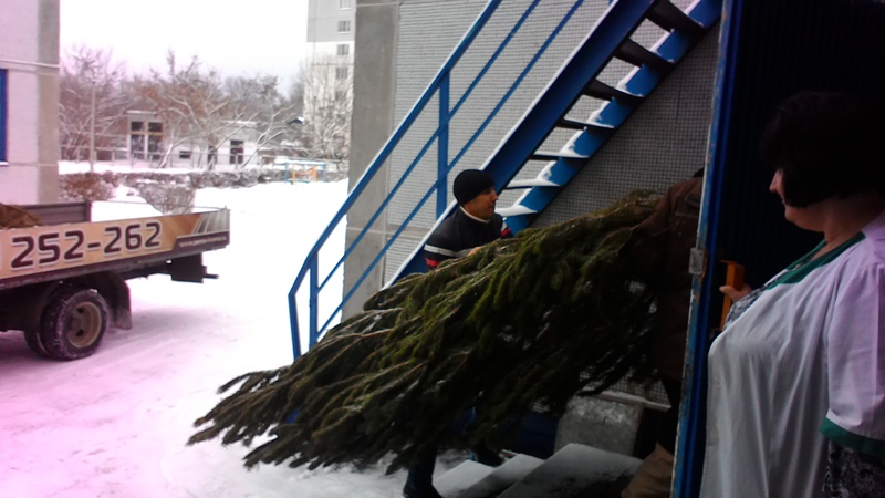 Благодаря депутату Сергею Седову в школах появились елки